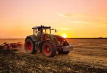 Tractor on the barley field by sunset.