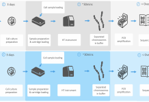 FIGURE 1 shows the basic steps required to obtain genetic phase or haplotyping for the HLA system in a potential bone marrow transplant recipient without resorting to family studies. Studies to date have shown superior outcomes in haplotype-matched recipient/donor pairs compared to those matched for individual alleles at multiple HLA loci. (Kitcharoen, Petersdorf, Maskalana)