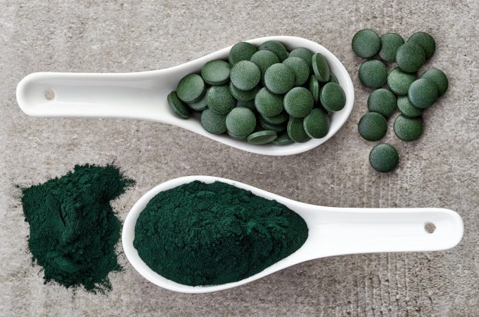 Spirulina algae powder and tablets on gray background from top view