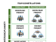 Figure 1: Types of disciplinary and interdisciplinary projects (Kolmos et al., 2024)