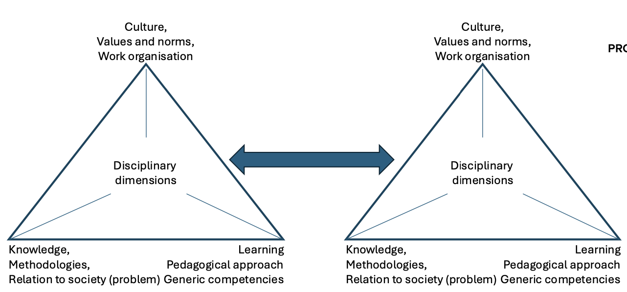 Figure 2: Disciplinary dimensions (Kolmos, et al., 2025)