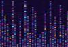 Genomic data visualization. Gene mapping, dna sequencing, genome barcoding, genetic marker map analysis infographic vector concept