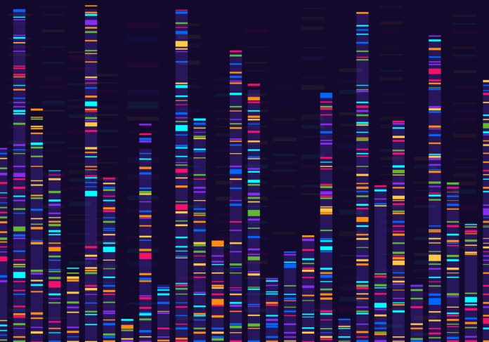 Genomic data visualization. Gene mapping, dna sequencing, genome barcoding, genetic marker map analysis infographic vector concept