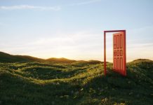 An abstract opening door to the freedom on grassy field on sunny summer day. (3d render)