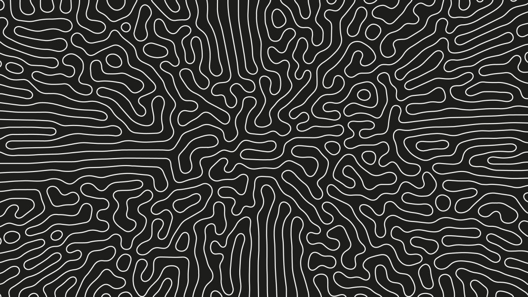 Complicated Thin Lines Pattern Vector Psychedelic Crazy Art Abstract Background. Intricate Ripple Structure Panoramic Black White Wallpaper. Hypnotic Abstraction. Line Art Graphic Modern Illustration