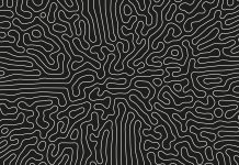 Complicated Thin Lines Pattern Vector Psychedelic Crazy Art Abstract Background. Intricate Ripple Structure Panoramic Black White Wallpaper. Hypnotic Abstraction. Line Art Graphic Modern Illustration