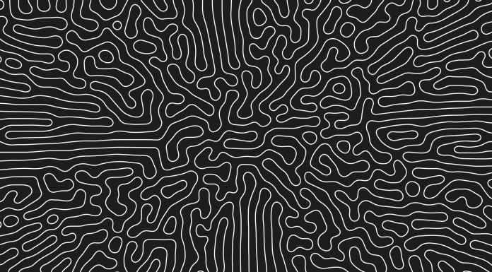 Complicated Thin Lines Pattern Vector Psychedelic Crazy Art Abstract Background. Intricate Ripple Structure Panoramic Black White Wallpaper. Hypnotic Abstraction. Line Art Graphic Modern Illustration