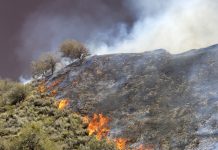 Uncontrolled Wildfire Burning Down Hillside