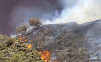 Uncontrolled Wildfire Burning Down Hillside