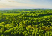 Sustainable resources background. Forest aerial view. Drone photography. Spring. Sustainability.