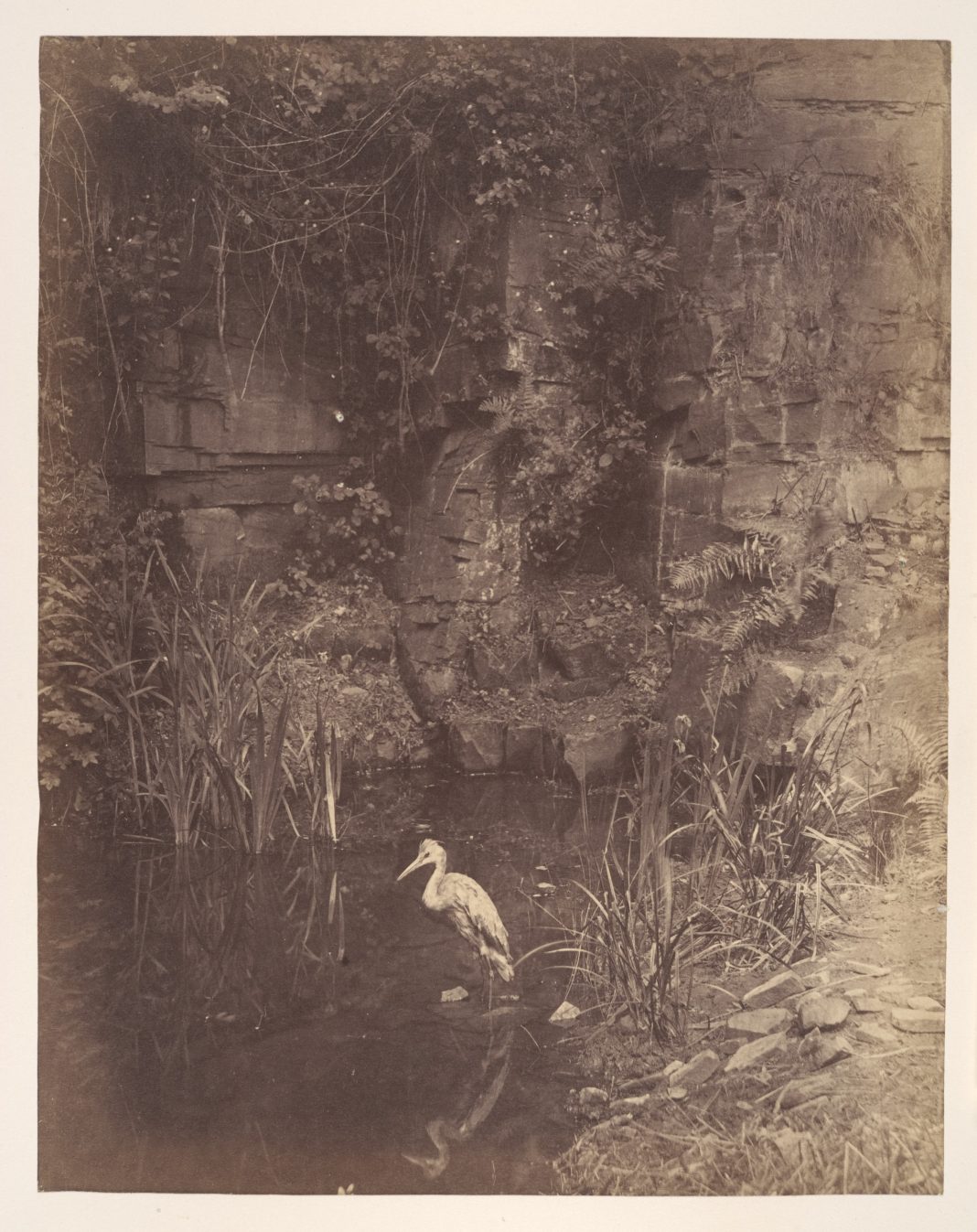 Image 1: John Dillwyn Llewelyn, “Piscator, No. 2,” 1w856. Albumen Silver print. Open Access, The Elisha Whittelsey Collection, The Metropolitan Museum of Art, accessed February 26, 2025, https://www.metmuseum.org/art/collection/search/270835