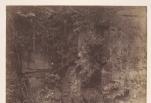 Image 1: John Dillwyn Llewelyn, “Piscator, No. 2,” 1w856. Albumen Silver print. Open Access, The Elisha Whittelsey Collection, The Metropolitan Museum of Art, accessed February 26, 2025, https://www.metmuseum.org/art/collection/search/270835