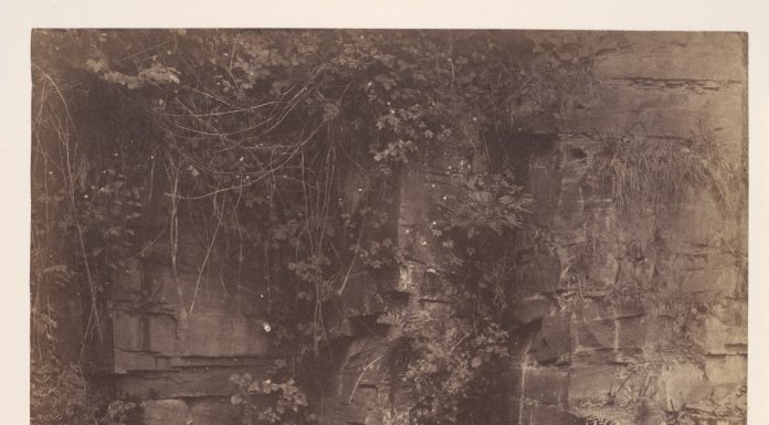 Image 1: John Dillwyn Llewelyn, “Piscator, No. 2,” 1w856. Albumen Silver print. Open Access, The Elisha Whittelsey Collection, The Metropolitan Museum of Art, accessed February 26, 2025, https://www.metmuseum.org/art/collection/search/270835