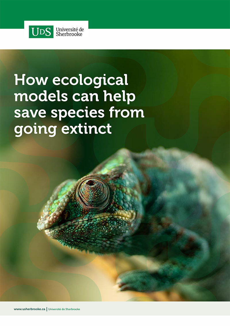 How ecological models can help save species from going extinct