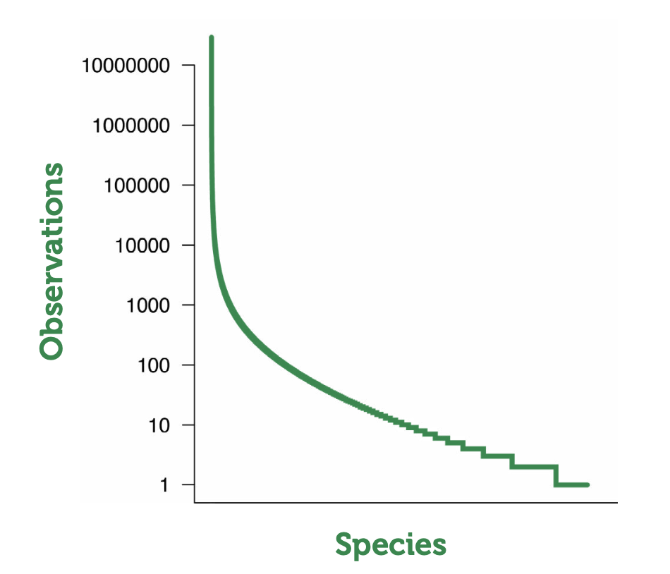 Figure 1: In biodiversity, there is commonality in rarity. The data presented here were gathered from the Global Biodiversity Information Facility and illustrate what is typically found when counting species and individuals: relatively few species have high abundance compared to the many species with low abundance. For the figure, species were ordered from most to least abundant.