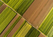 Scenic landscape with aerial view of fields