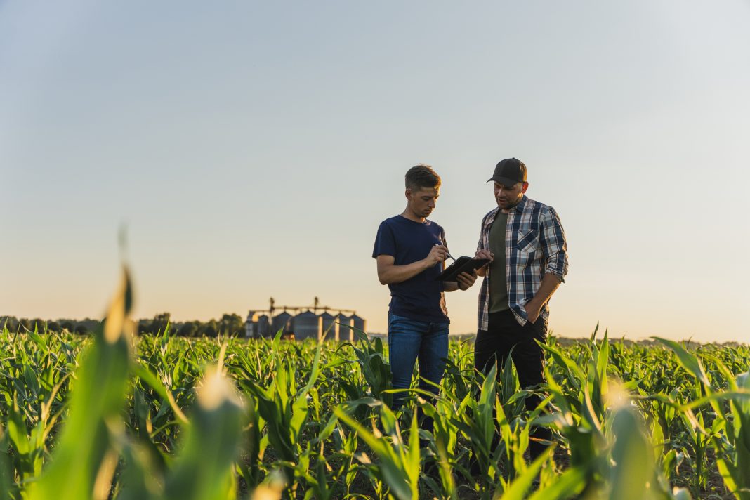 Male farmer and agronomist using digital tablet while examining green corn plants in agricultural field