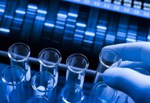 Genetic research at the laboratory