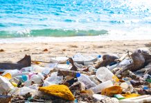 Beach debris, plastic cups and plastic bags. Marine debris is one of the world's major environmental problems.