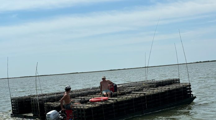 Shellevator® transport of 400,000 oysters to a new area 10km away. The voyage took two hours and used 10L of fuel