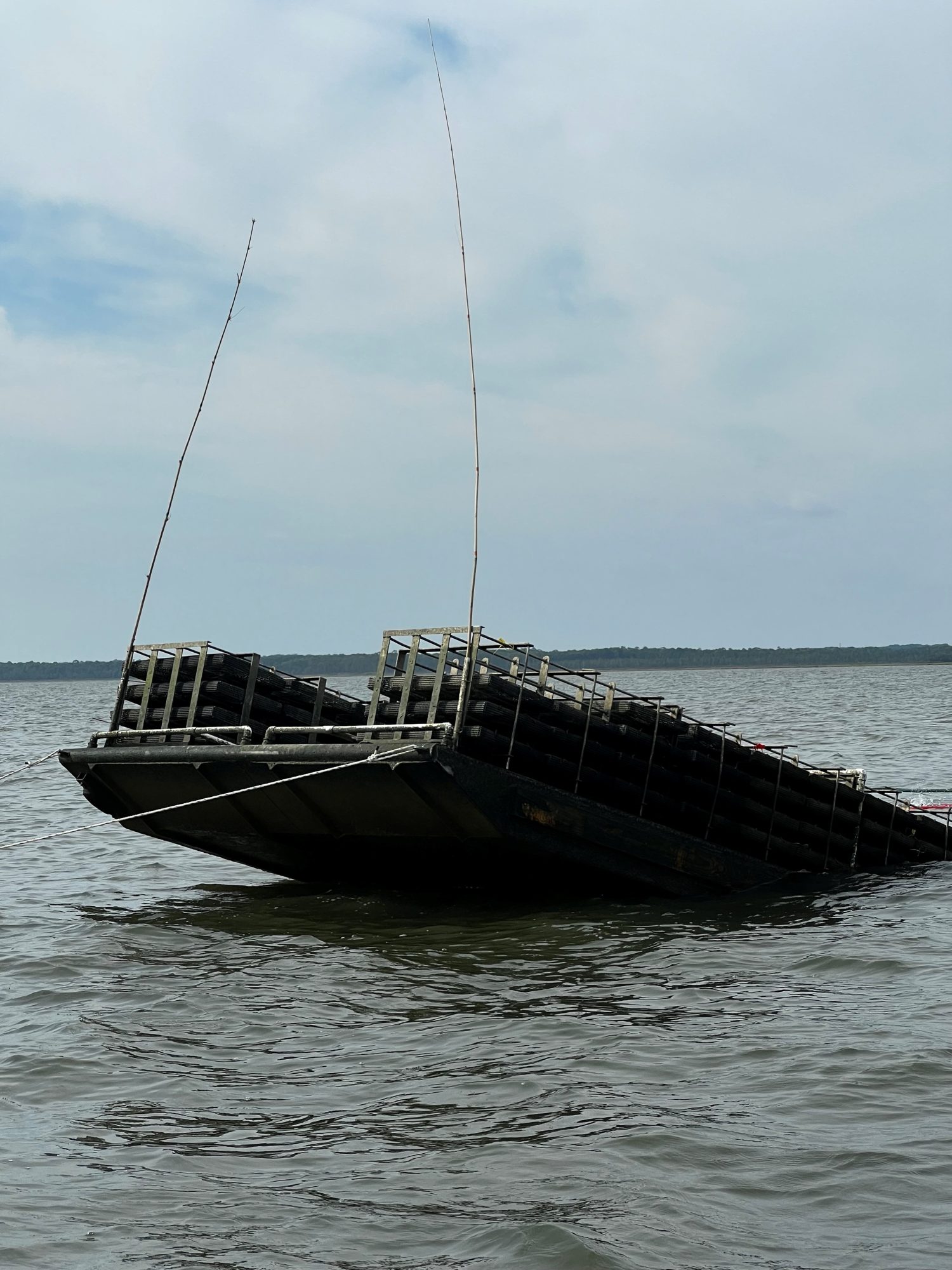 Emerging Shellevator® technology that automates oyster farming at scale